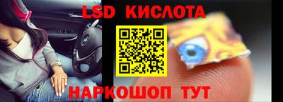 прущие грибы Коммунар